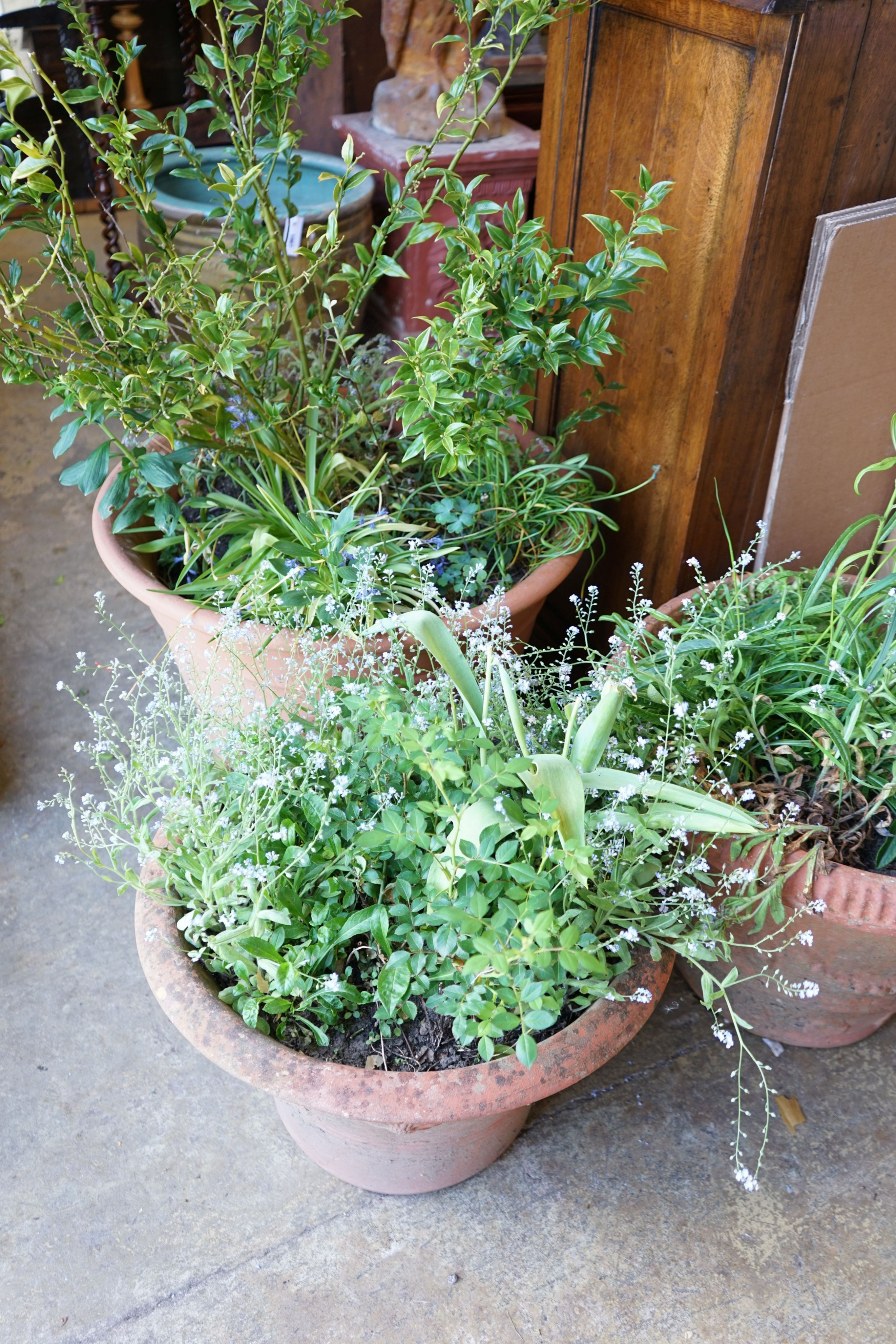 Three circular terracotta garden planters, largest diameter 77cm height 45cm